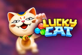 Funky : Lucky Cat - CSPLAY168